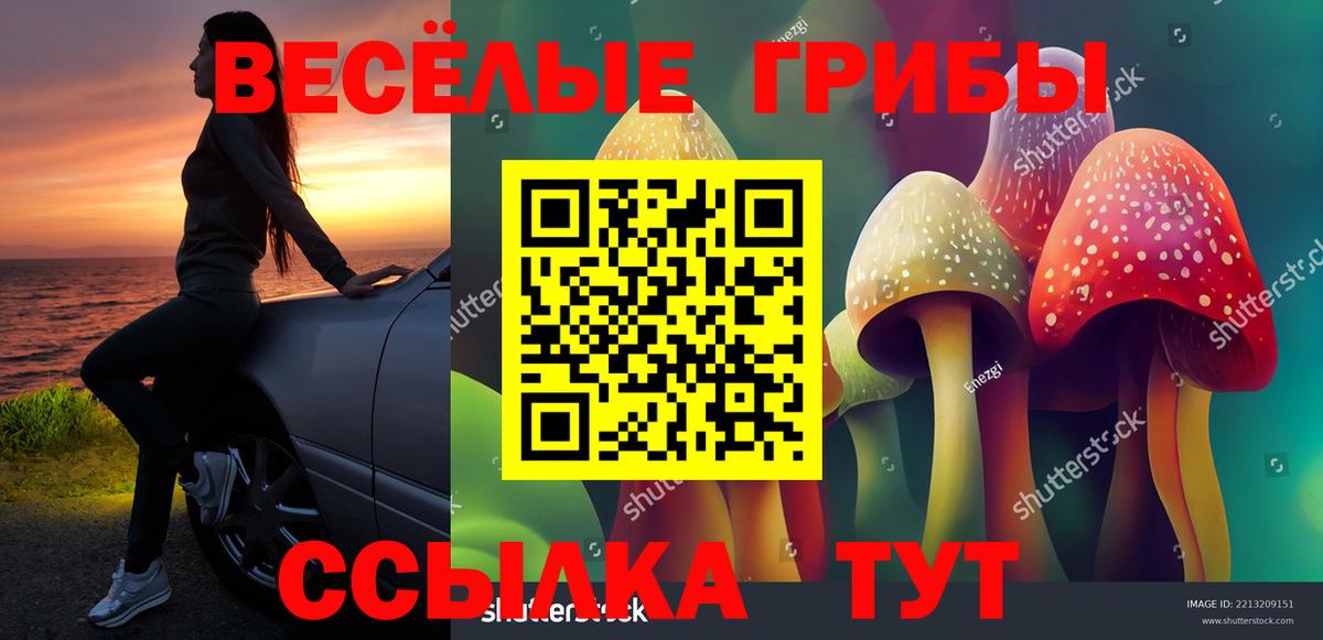 Галлюциногенные грибы ЛСД Карпинск
